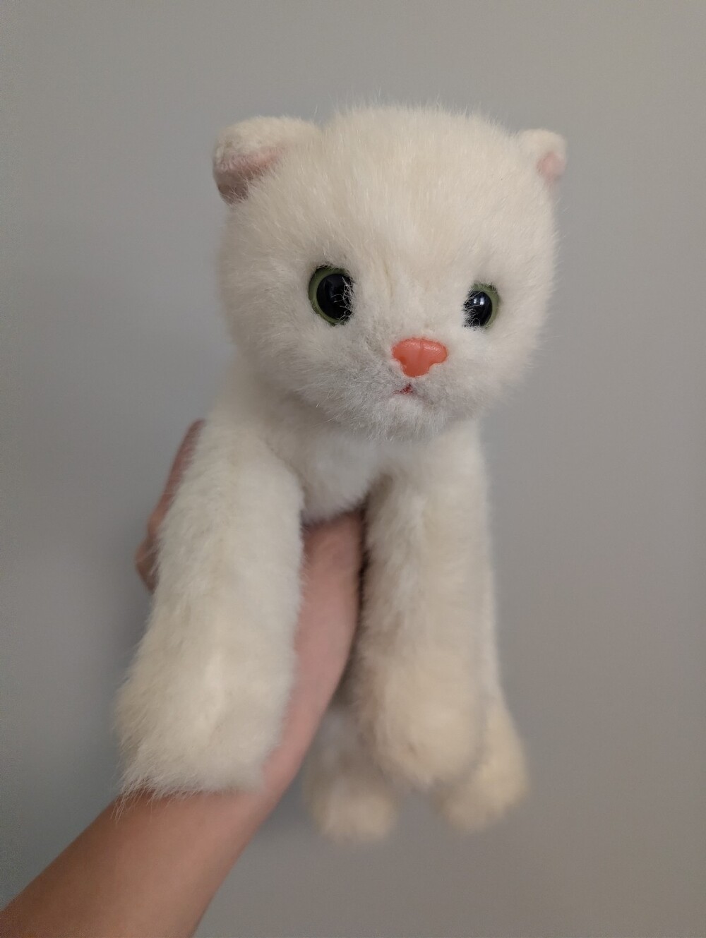 Crystal cat Ty Beanie Buddy Plush
